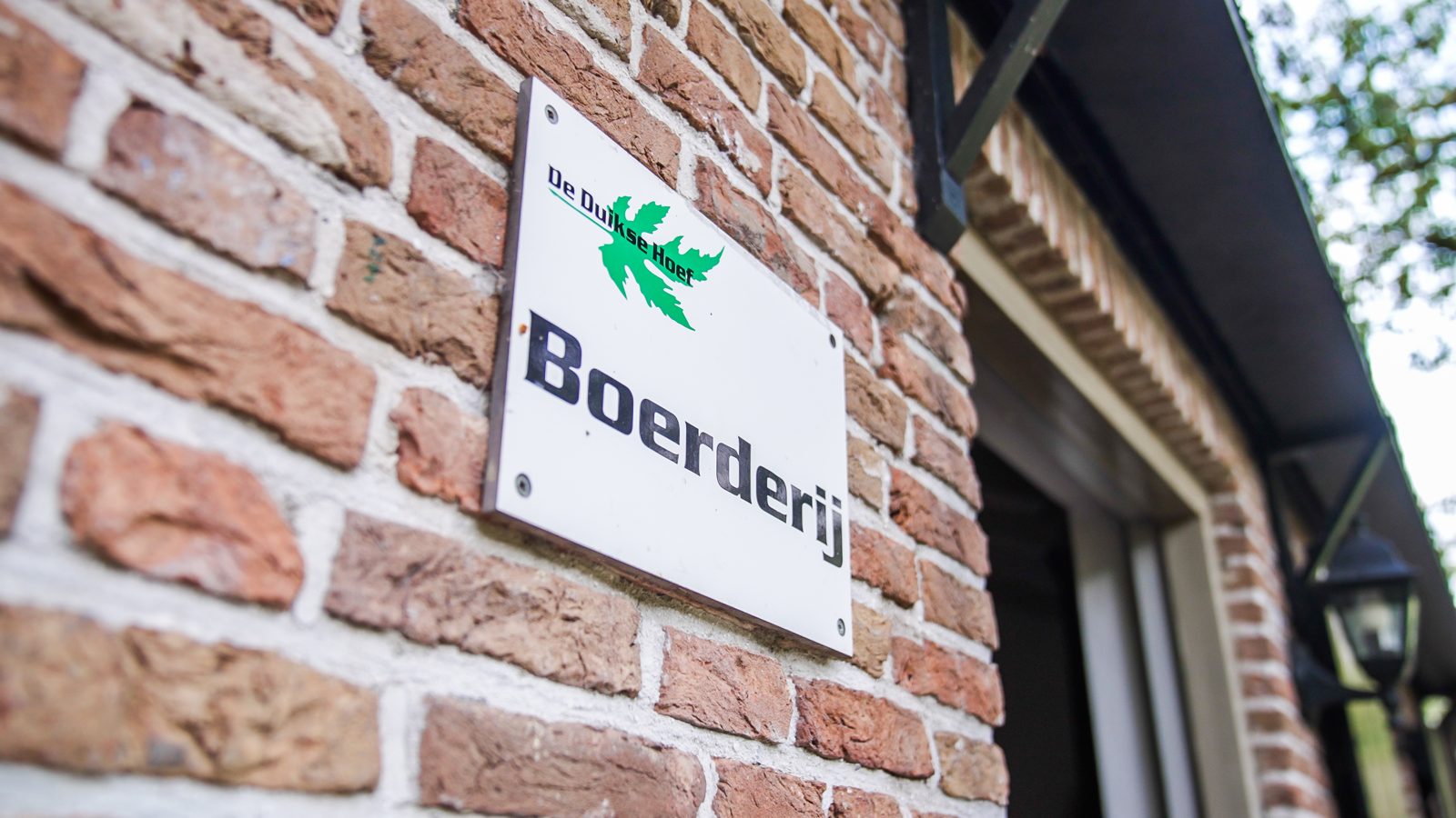 Fotografie De Duikse Hoef 6