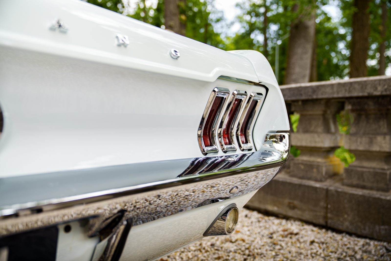 Fotografie Mustang Trouwauto 6